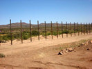 Click Here to Enlarge